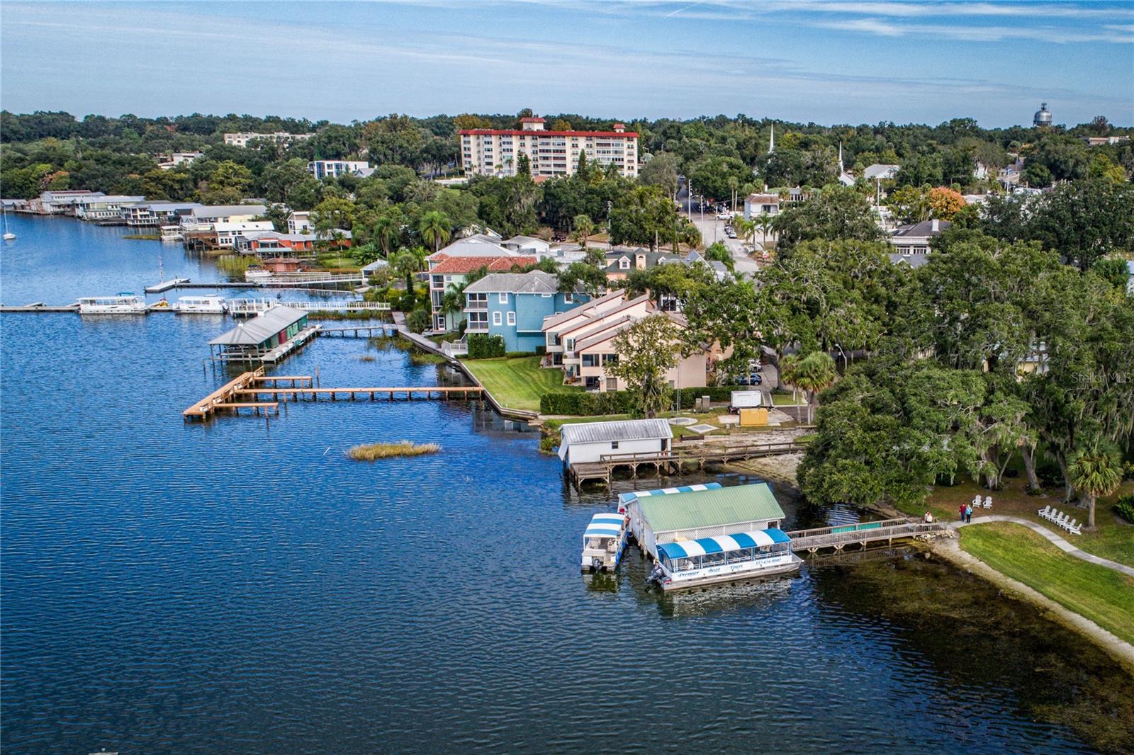 601 N MCDONALD ST #608, MOUNT DORA, FL, 32757
