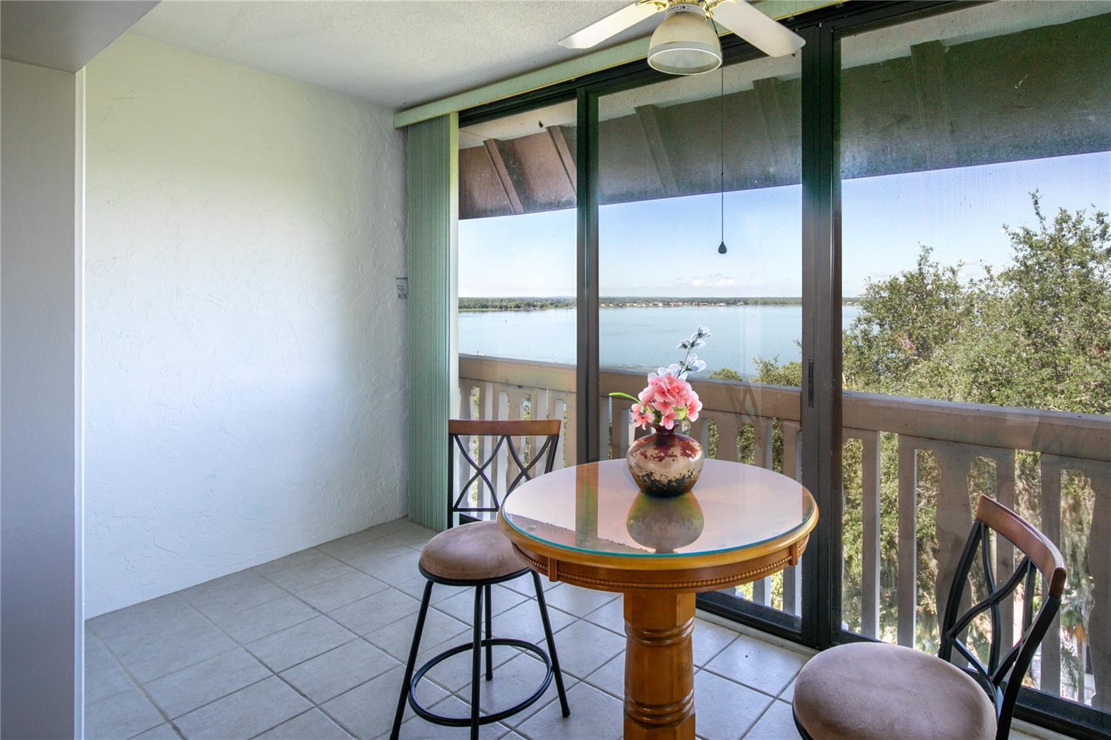 601 N MCDONALD ST #608, MOUNT DORA, FL, 32757