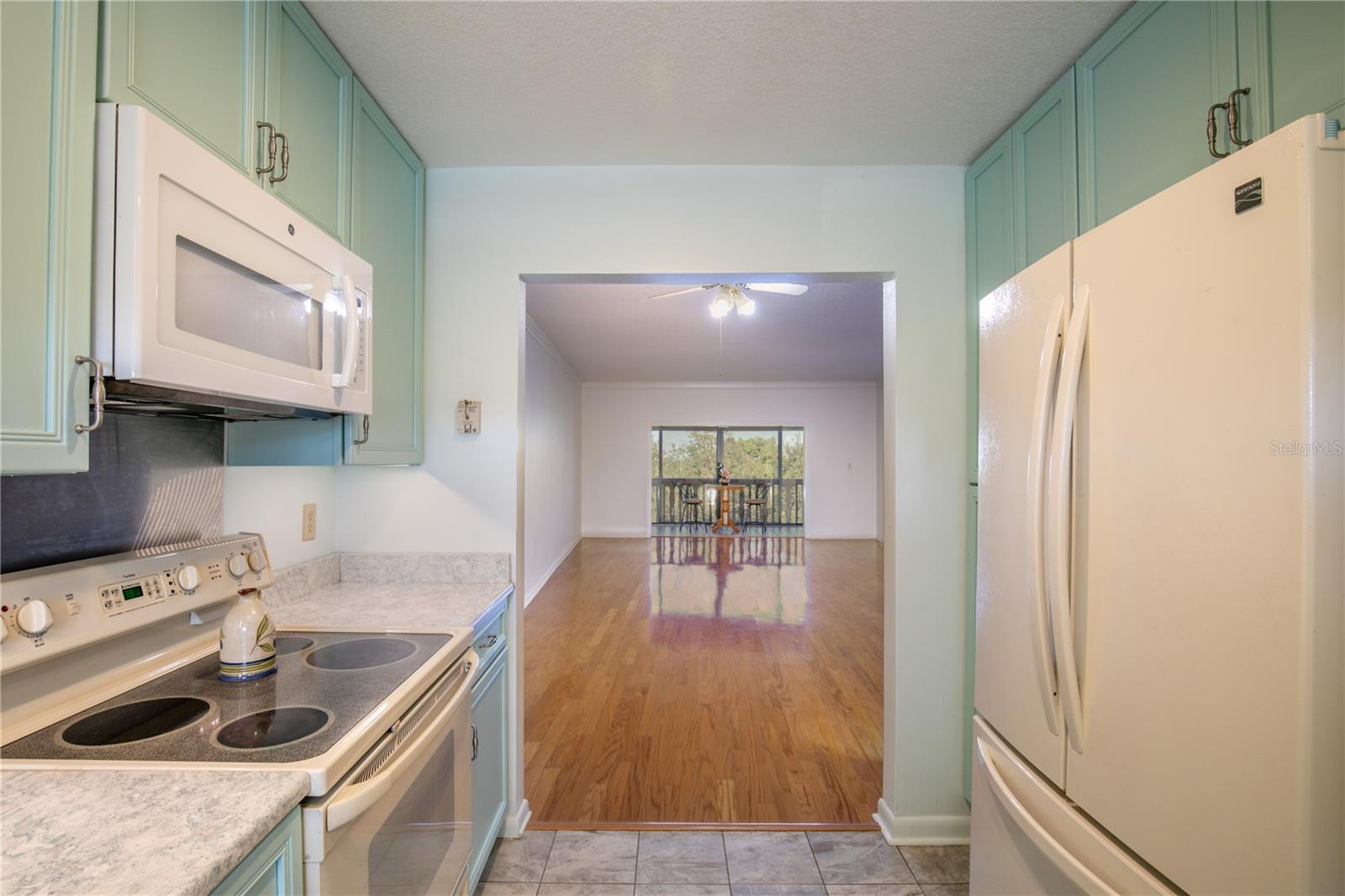 601 N MCDONALD ST #608, MOUNT DORA, FL, 32757