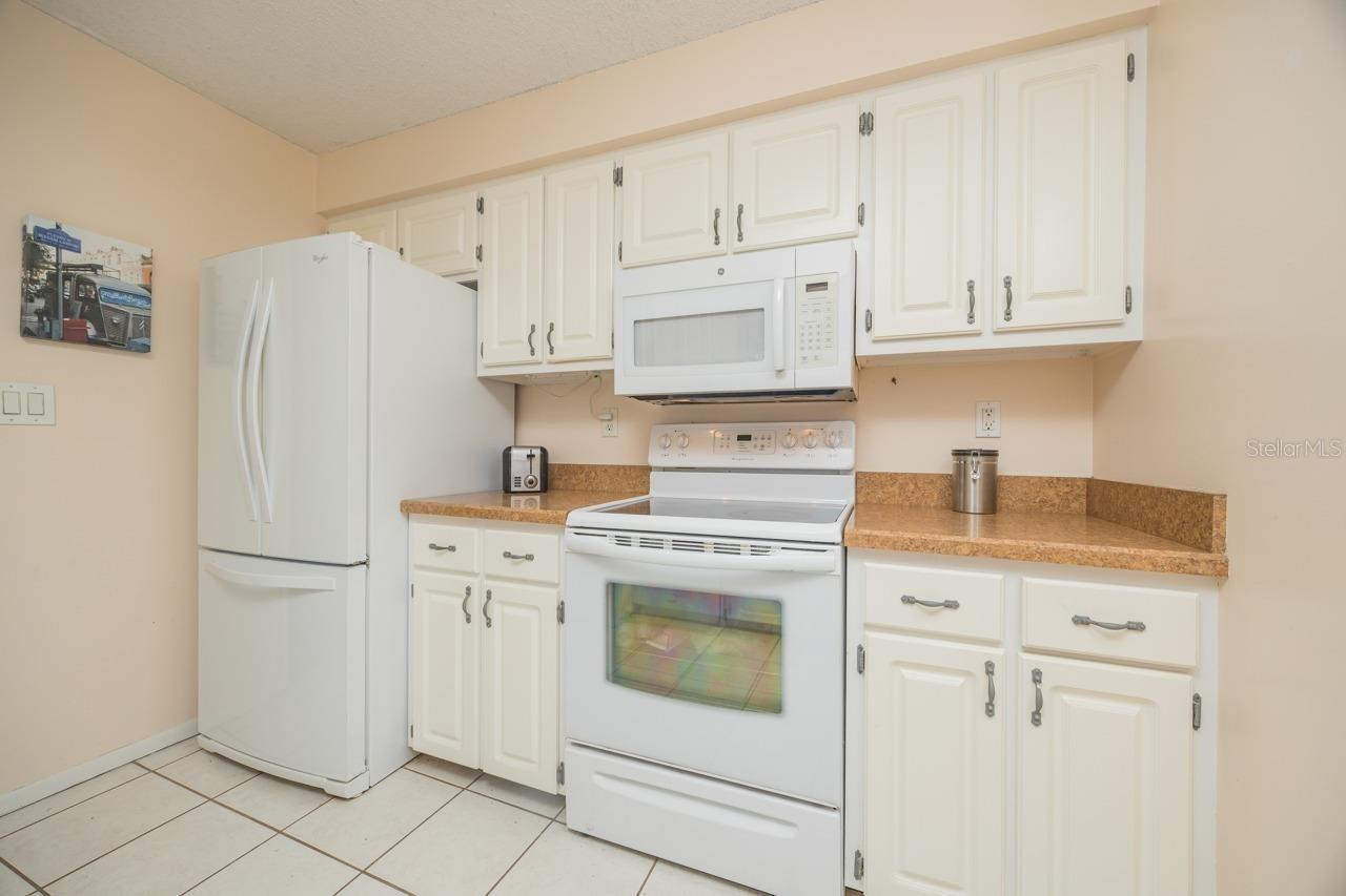 218 COTORRO LN, ST AUGUSTINE, FL, 32086