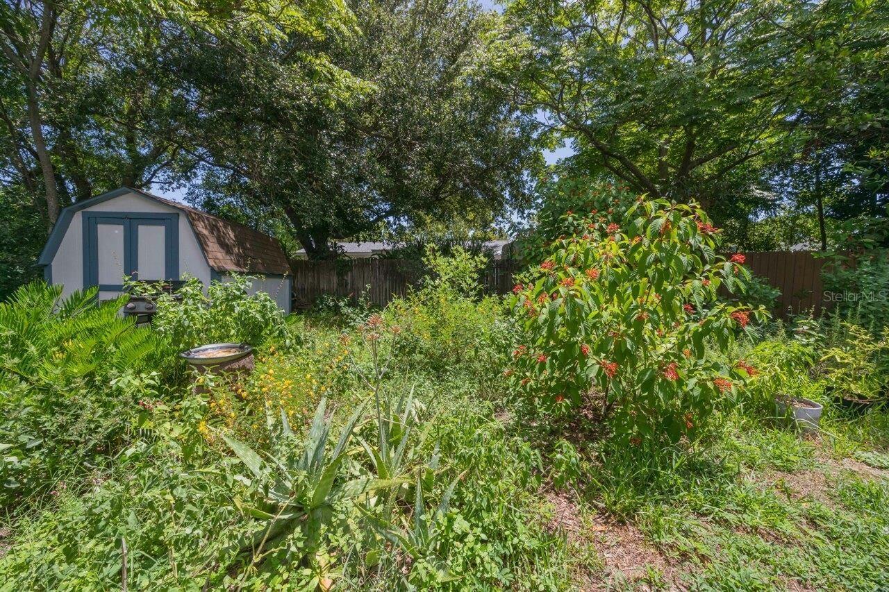 218 COTORRO LN, ST AUGUSTINE, FL, 32086