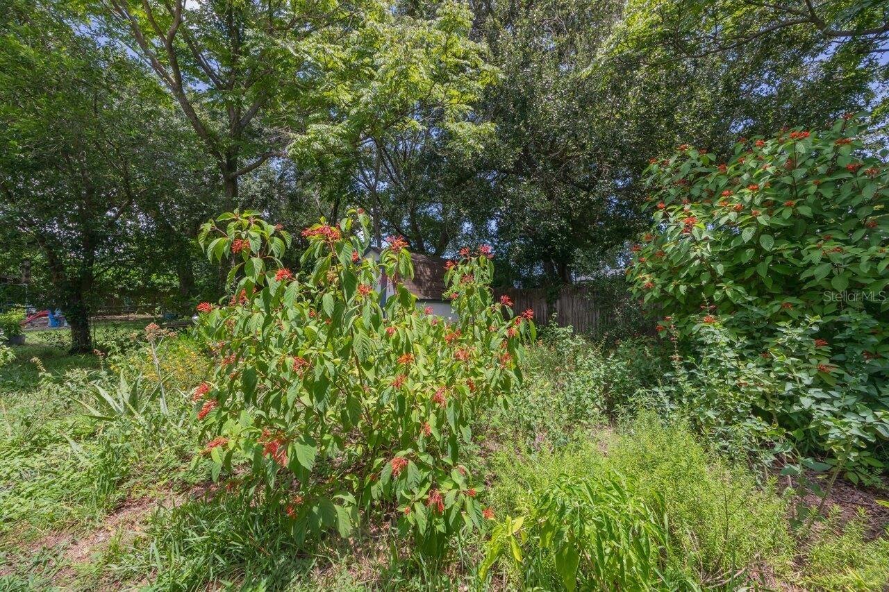 218 COTORRO LN, ST AUGUSTINE, FL, 32086