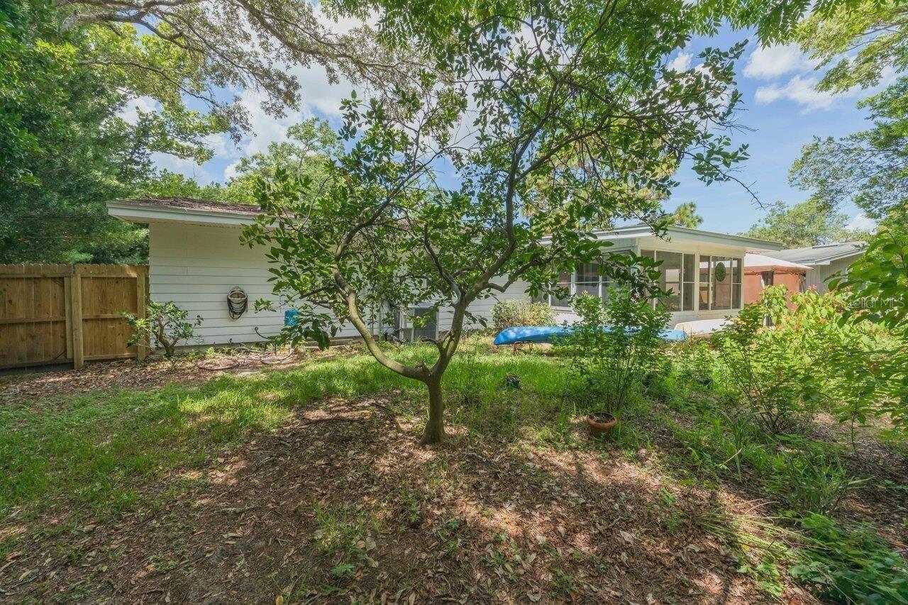 218 COTORRO LN, ST AUGUSTINE, FL, 32086