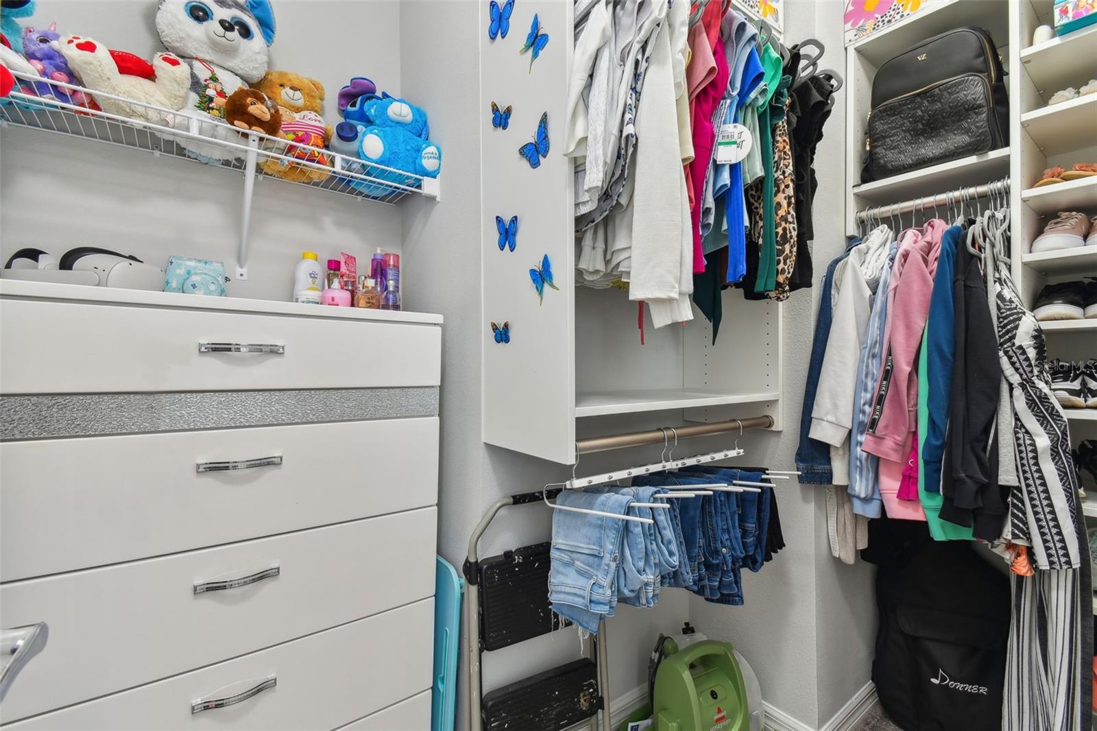 9309 RALLY SPRING LOOP, WESLEY CHAPEL, FL, 33545