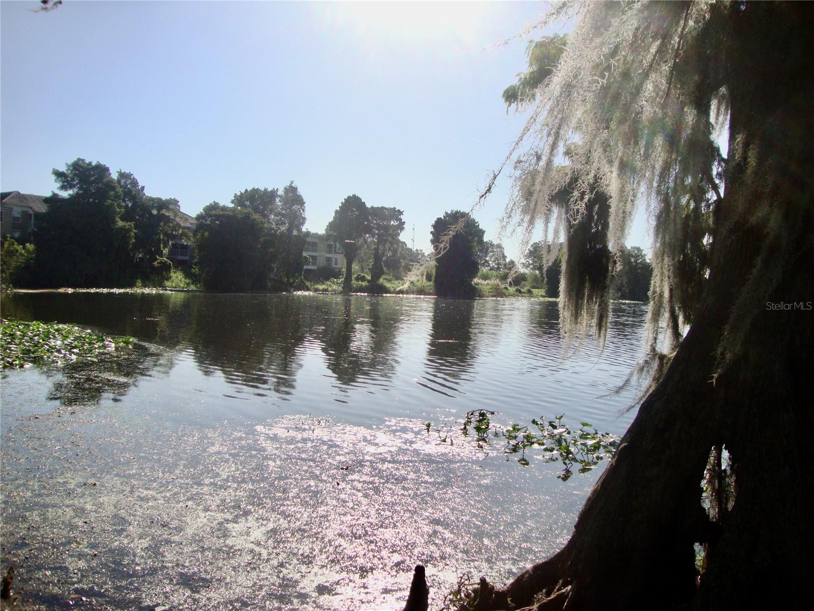 4146 VERSAILLES DR #4146D, ORLANDO, FL, 32808