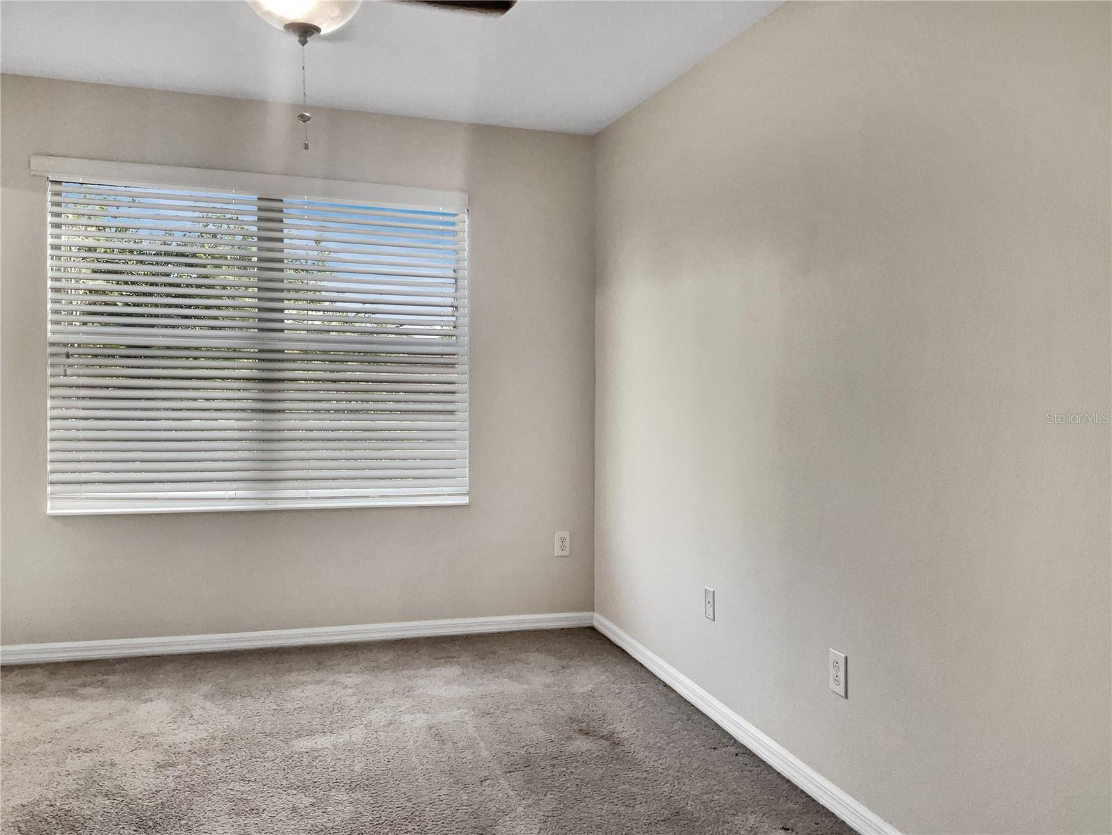 8916 RED BEECHWOOD CT, RIVERVIEW, FL, 33578