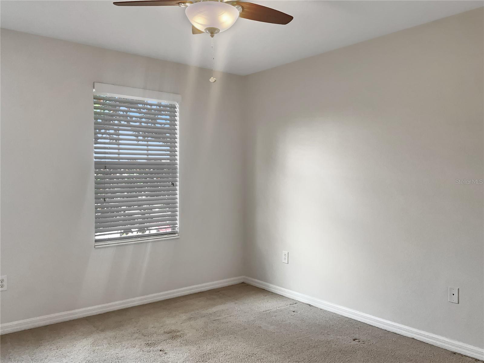 8916 RED BEECHWOOD CT, RIVERVIEW, FL, 33578