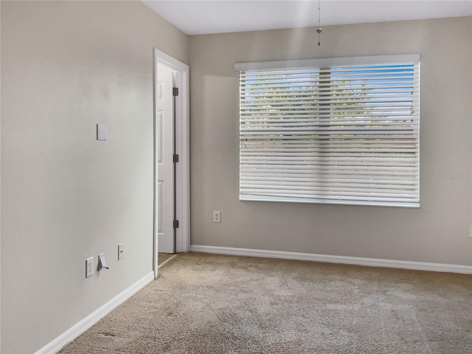 8916 RED BEECHWOOD CT, RIVERVIEW, FL, 33578