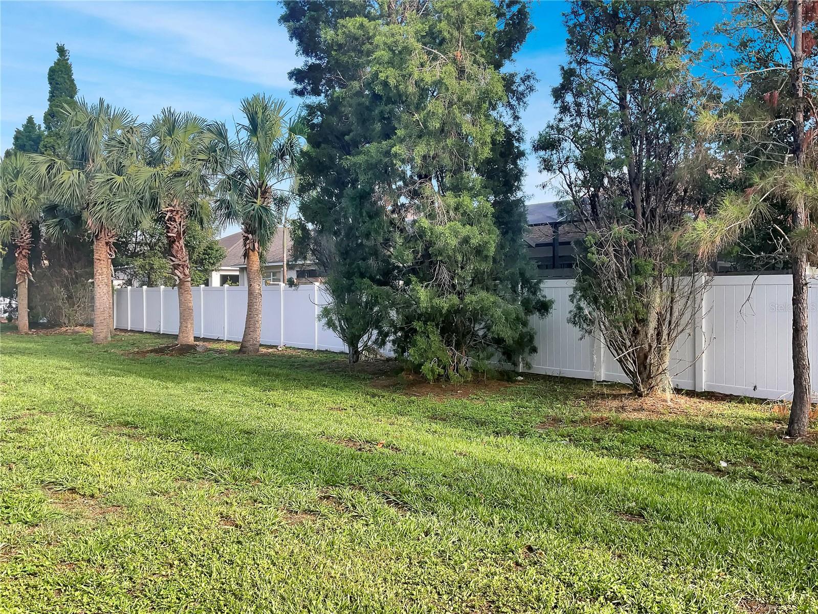 8916 RED BEECHWOOD CT, RIVERVIEW, FL, 33578