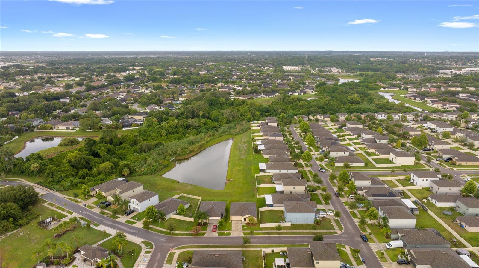 10005 CARAWAY SPICE AVE, RIVERVIEW, FL, 33578