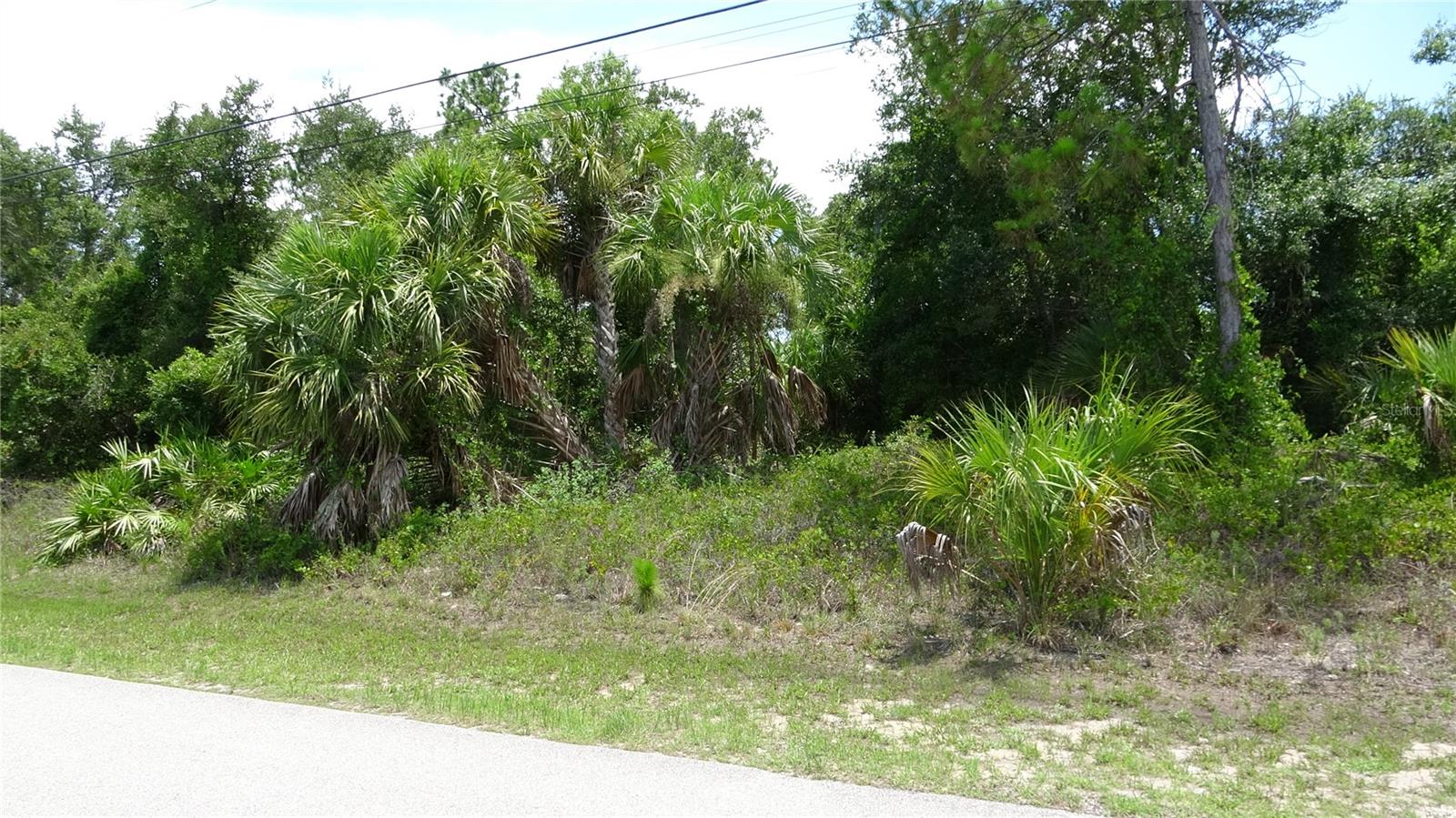 DELIGHT AVE, NORTH PORT, FL, 34288