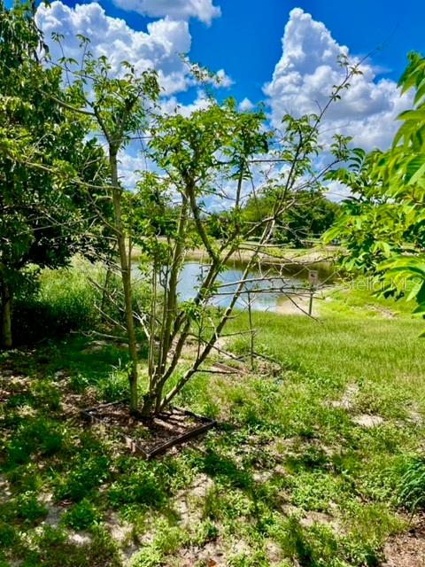 110 LAKE TRACY CT, HAINES CITY, FL, 33844