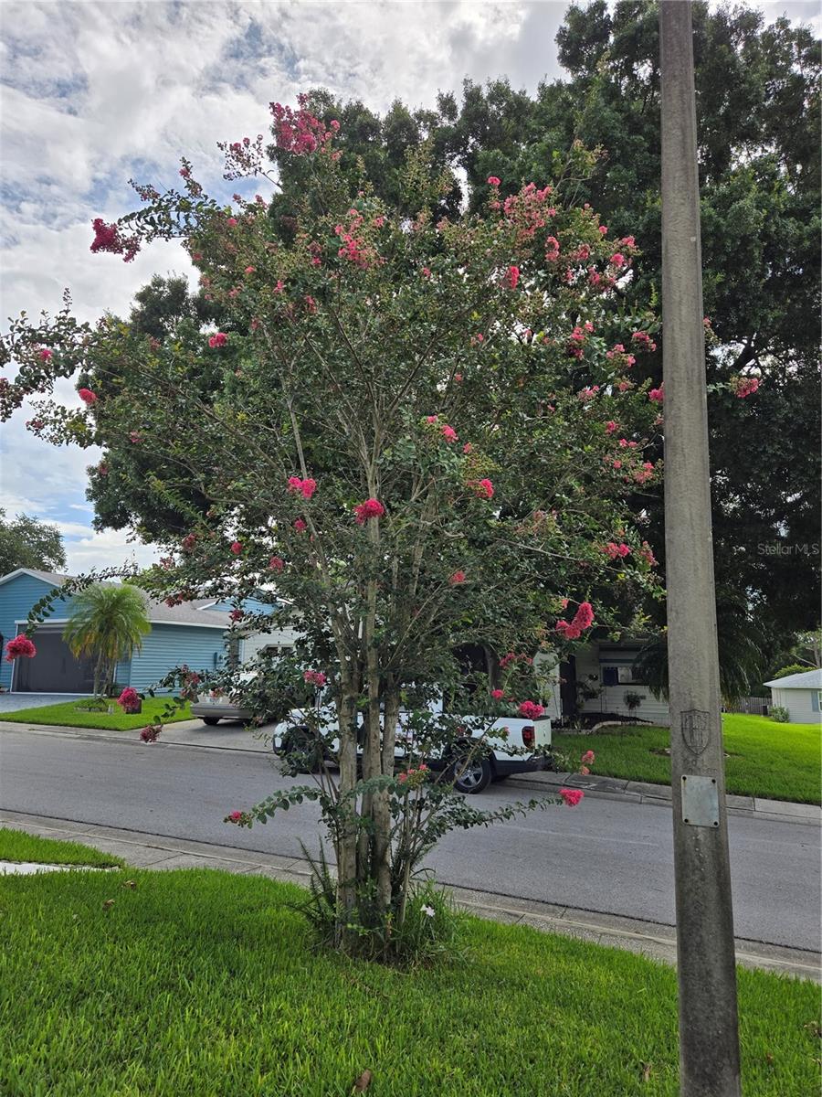 3130 PRAIRIE DUNES CIR W, LAKELAND, FL, 33810