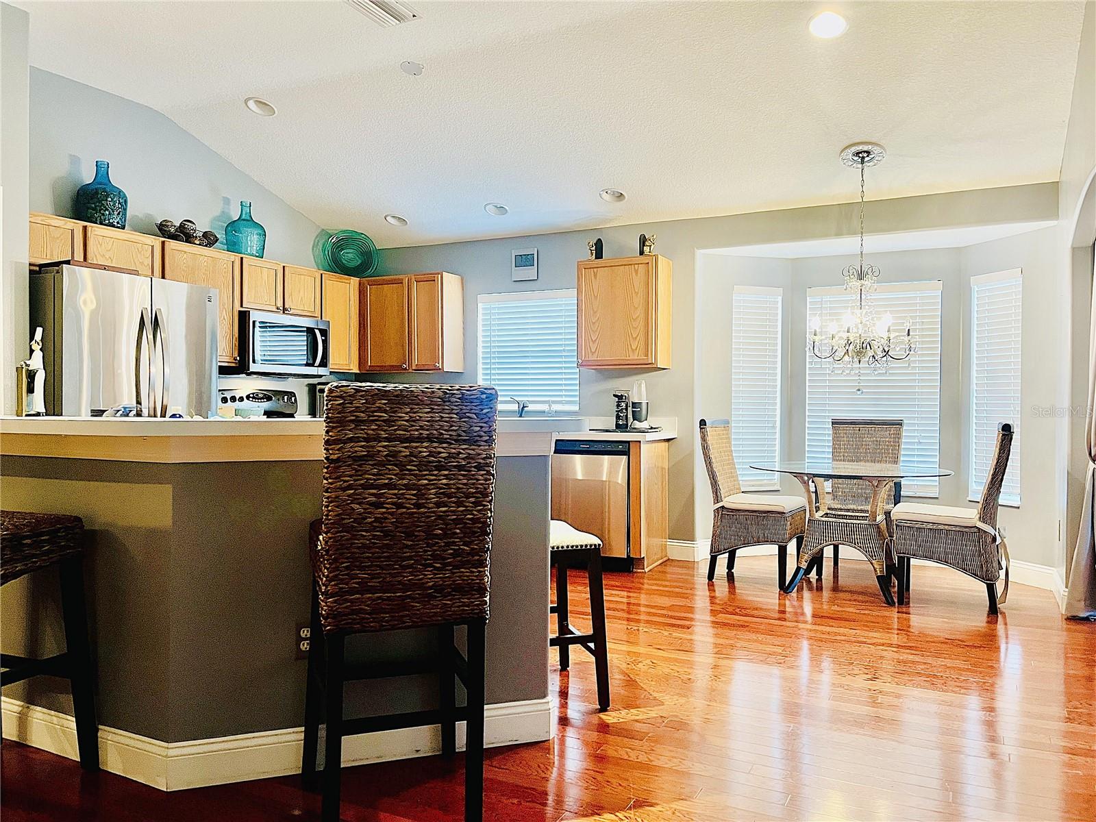 16745 SHANLOW CT, ODESSA, FL, 33556