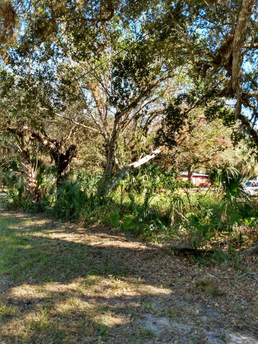 871 CALOOSAHATCHEE AVE, LABELLE, FL, 33935