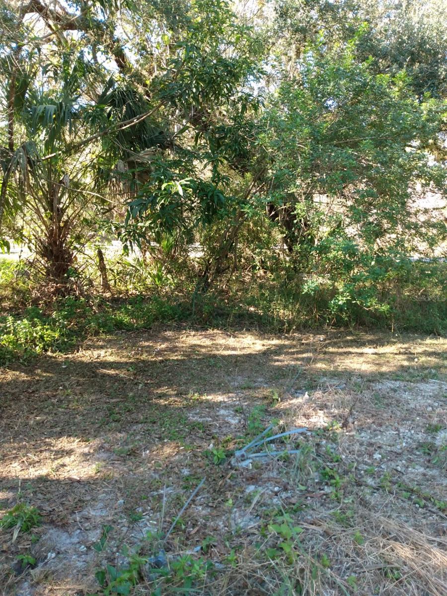 871 CALOOSAHATCHEE AVE, LABELLE, FL, 33935