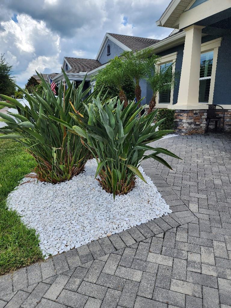 1017 ALBERRO AVE, BRANDON, FL, 33511