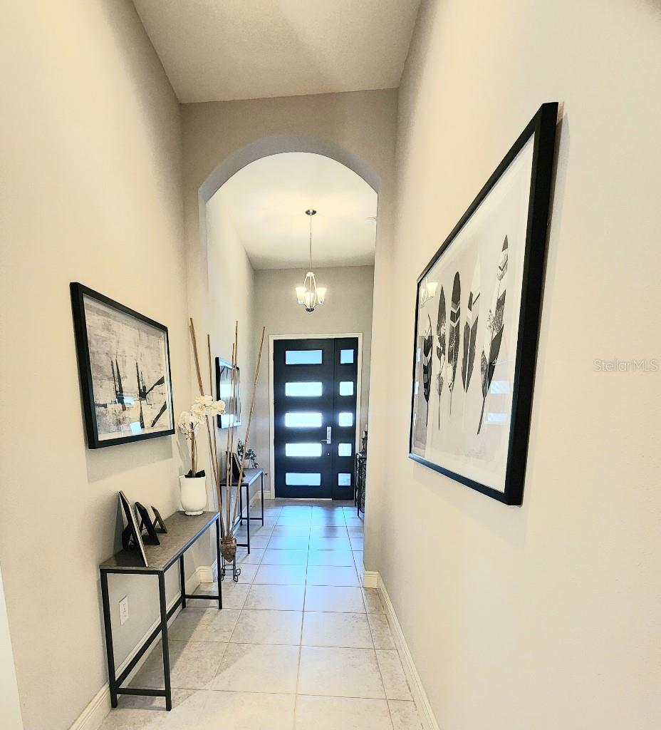 1017 ALBERRO AVE, BRANDON, FL, 33511