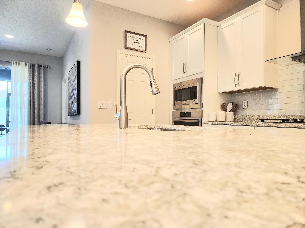 1017 ALBERRO AVE, BRANDON, FL, 33511