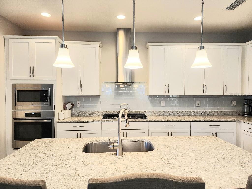 1017 ALBERRO AVE, BRANDON, FL, 33511