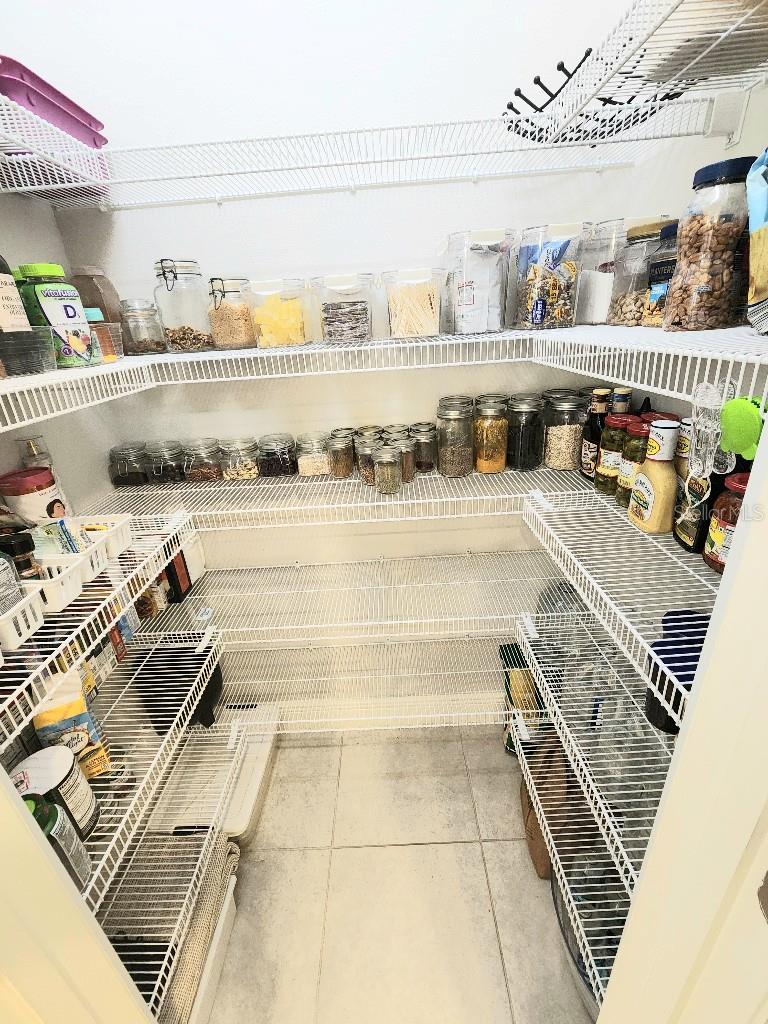 1017 ALBERRO AVE, BRANDON, FL, 33511