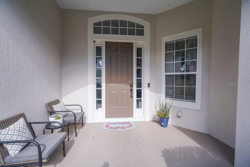 32313 OAK CANOPY DR, SORRENTO, FL, 32776