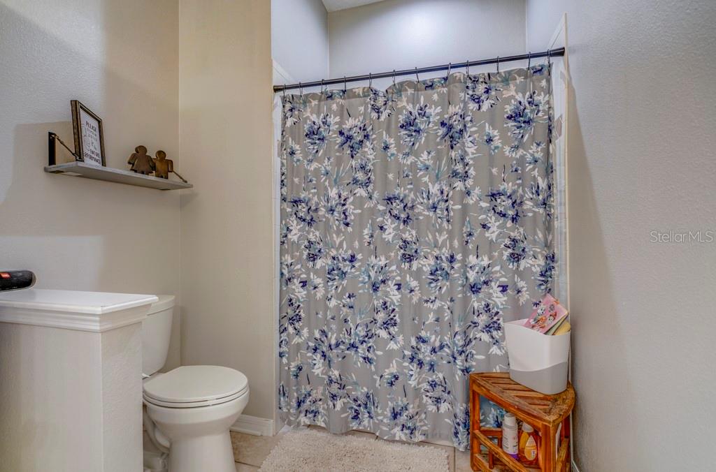 32313 OAK CANOPY DR, SORRENTO, FL, 32776