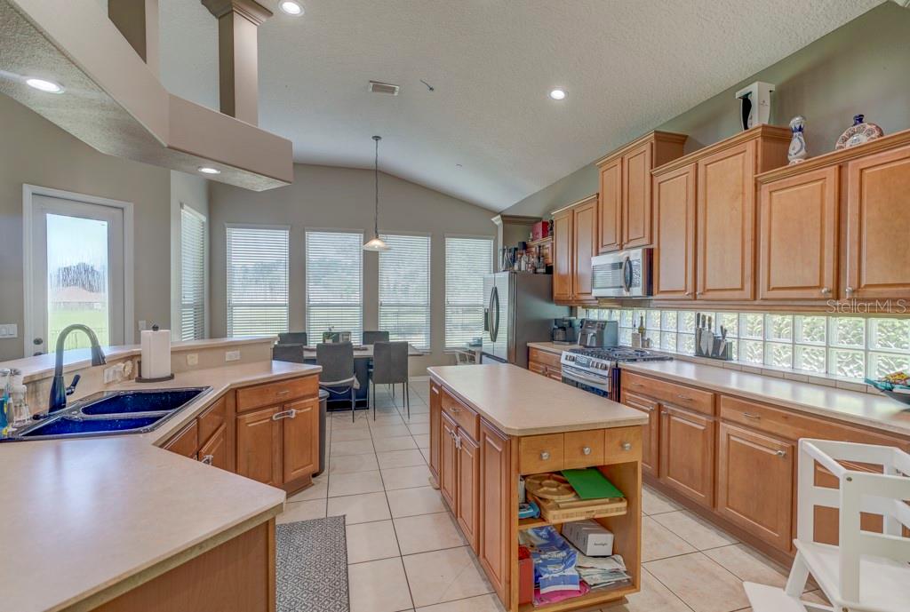 32313 OAK CANOPY DR, SORRENTO, FL, 32776
