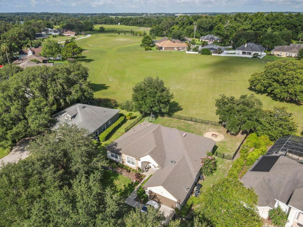 32313 OAK CANOPY DR, SORRENTO, FL, 32776