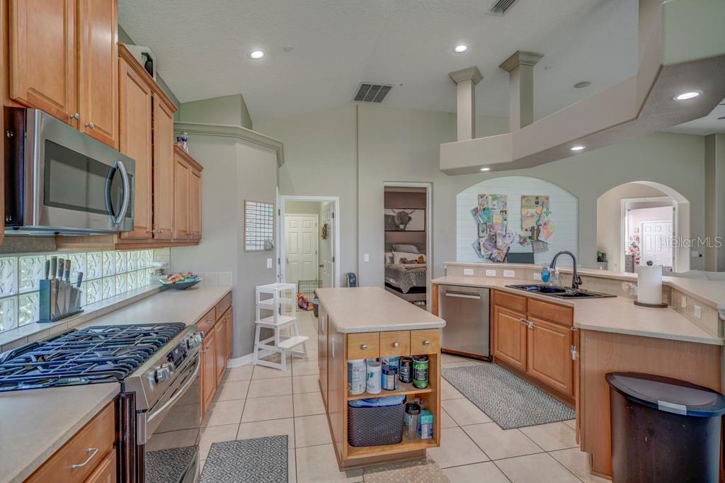 32313 OAK CANOPY DR, SORRENTO, FL, 32776