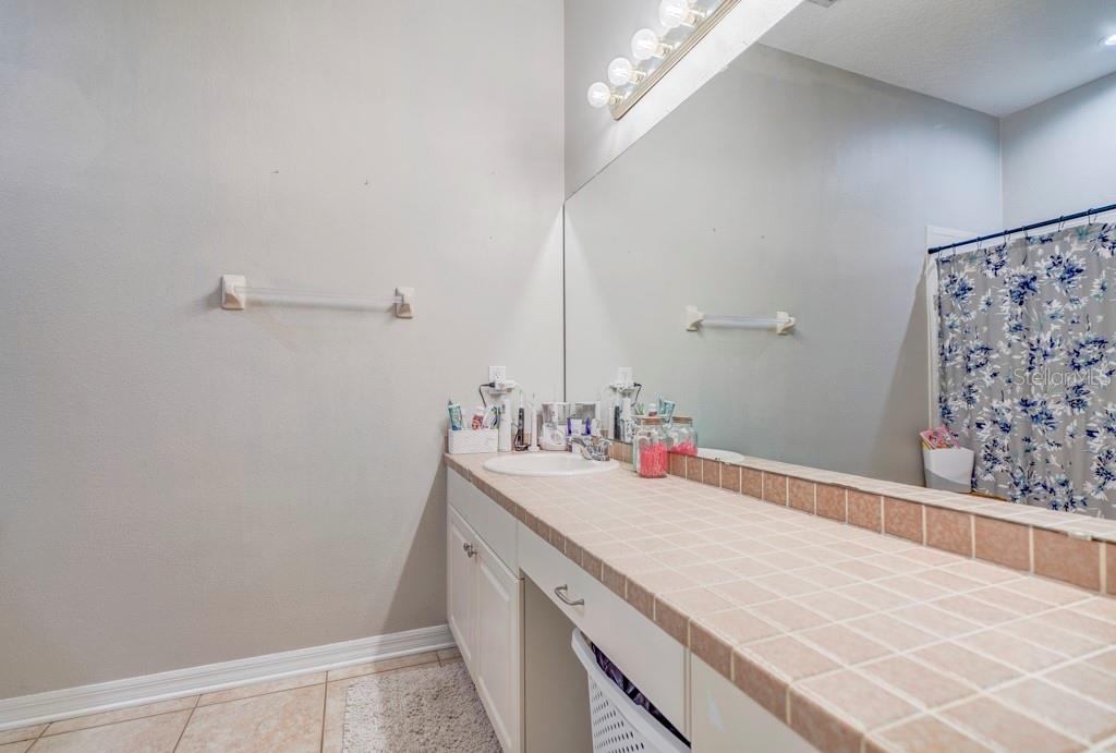 32313 OAK CANOPY DR, SORRENTO, FL, 32776