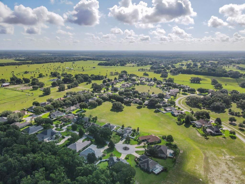 32313 OAK CANOPY DR, SORRENTO, FL, 32776