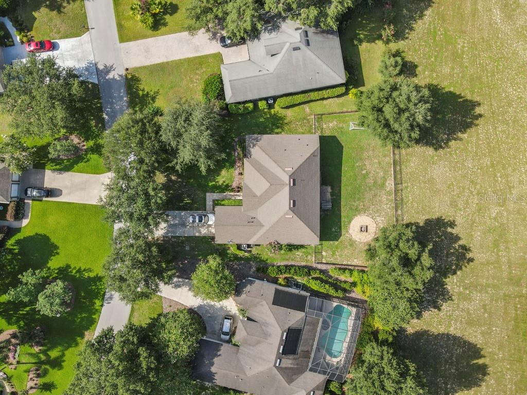 32313 OAK CANOPY DR, SORRENTO, FL, 32776