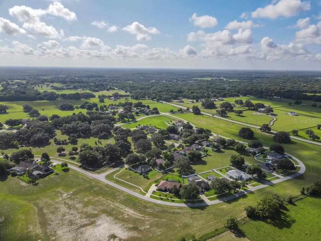 32313 OAK CANOPY DR, SORRENTO, FL, 32776