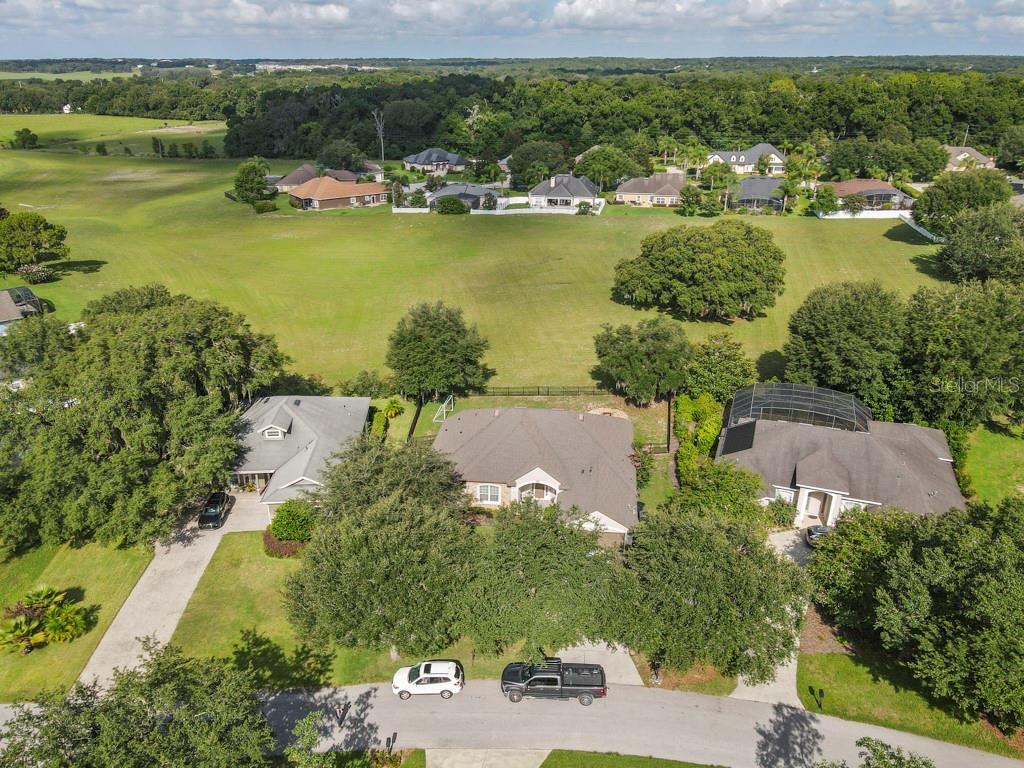 32313 OAK CANOPY DR, SORRENTO, FL, 32776