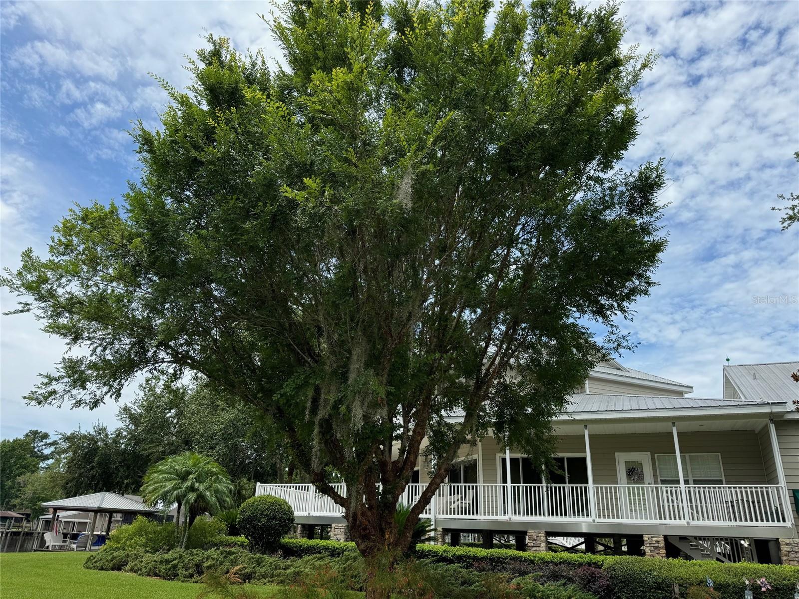 56633 OTTER RD, ASTOR, FL, 32102