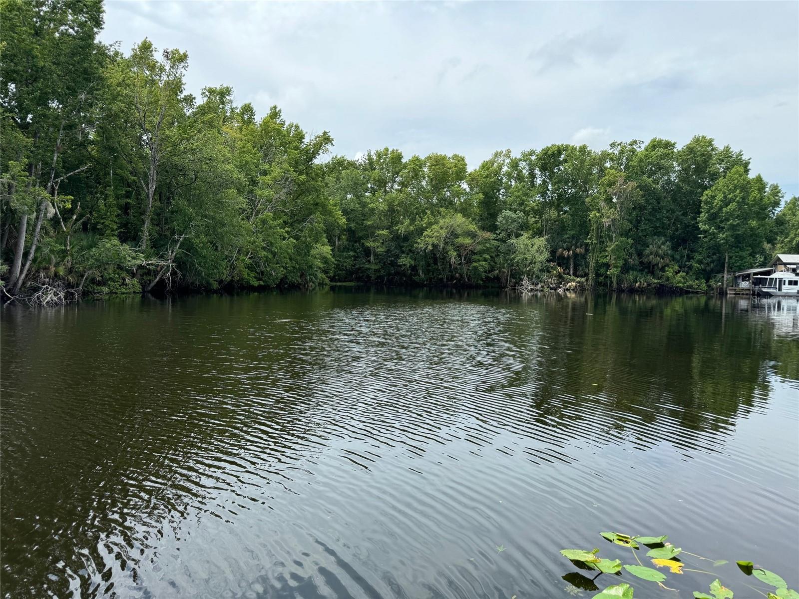 56633 OTTER RD, ASTOR, FL, 32102