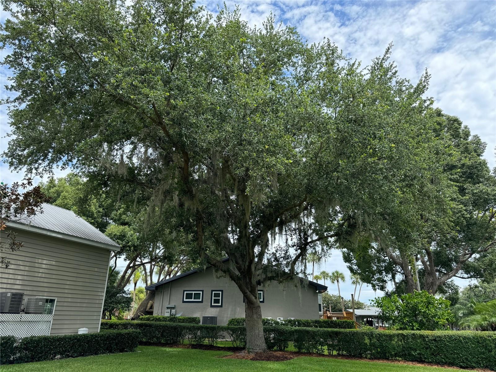 56633 OTTER RD, ASTOR, FL, 32102