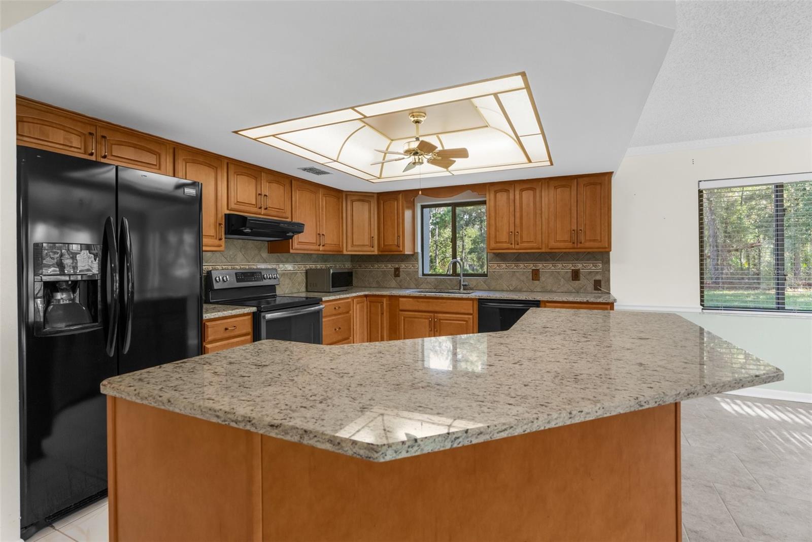 107 ANTON CT, HOMOSASSA, FL, 34446