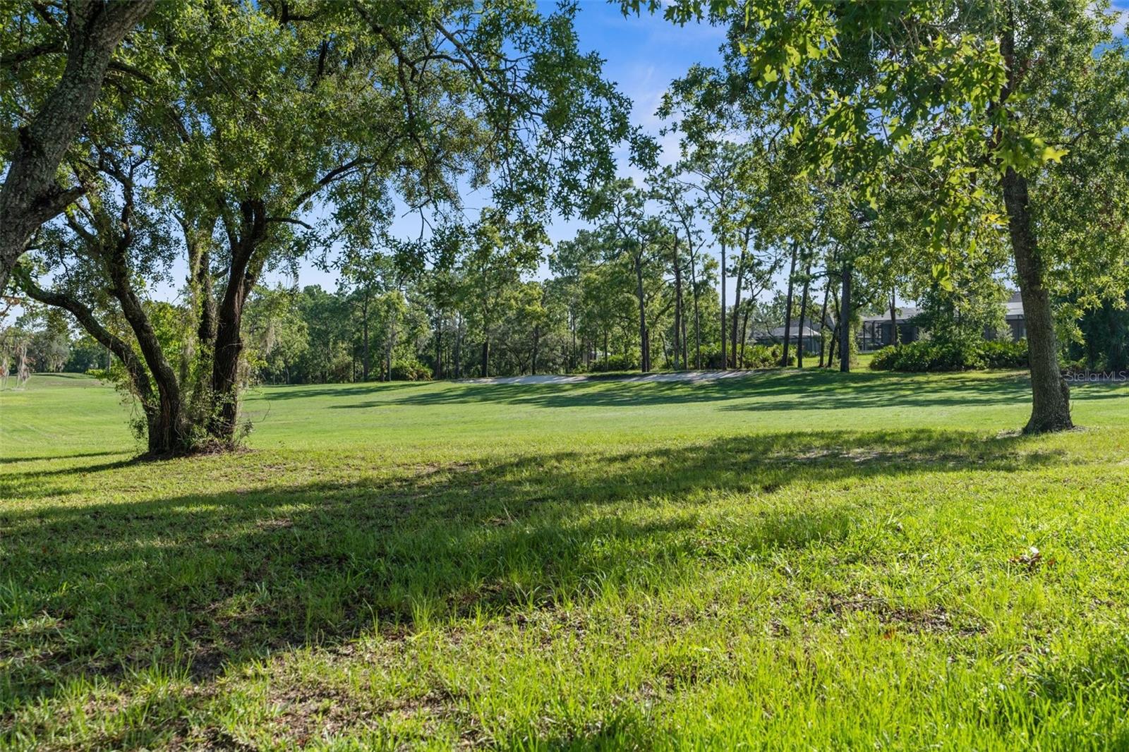 107 ANTON CT, HOMOSASSA, FL, 34446