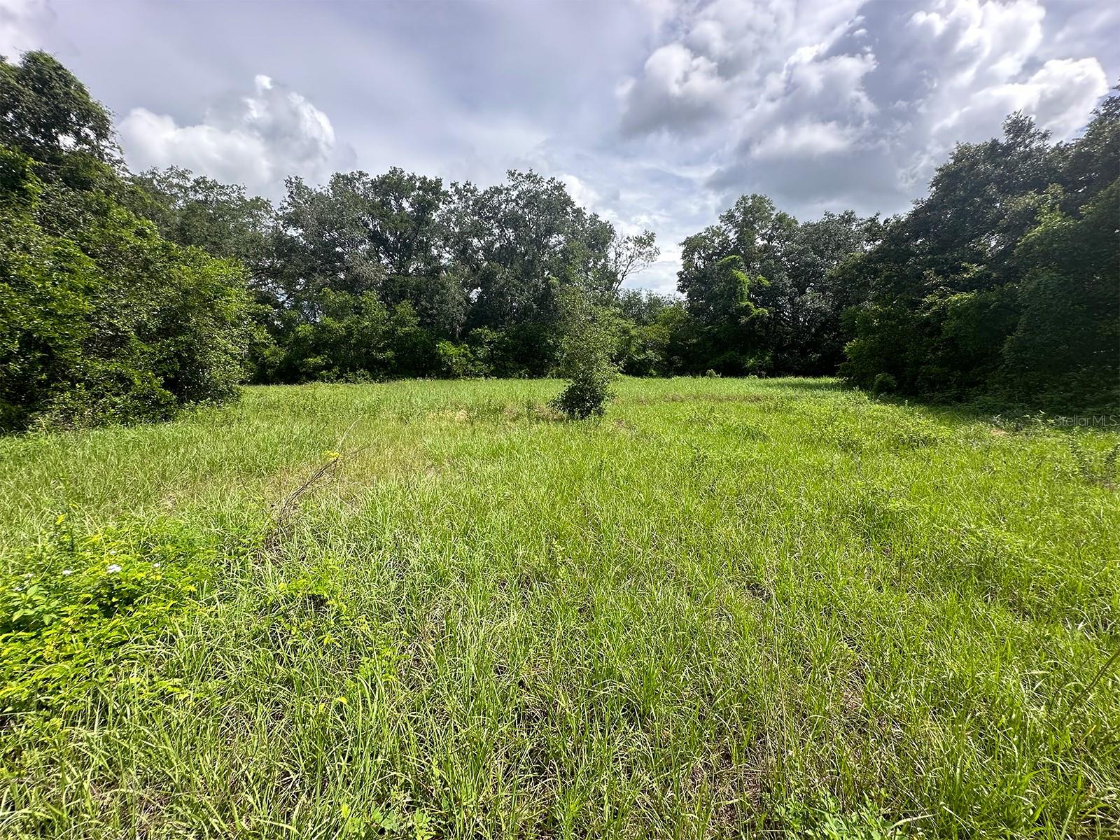 3710 WAYNE RD, LAKELAND, FL, 33810