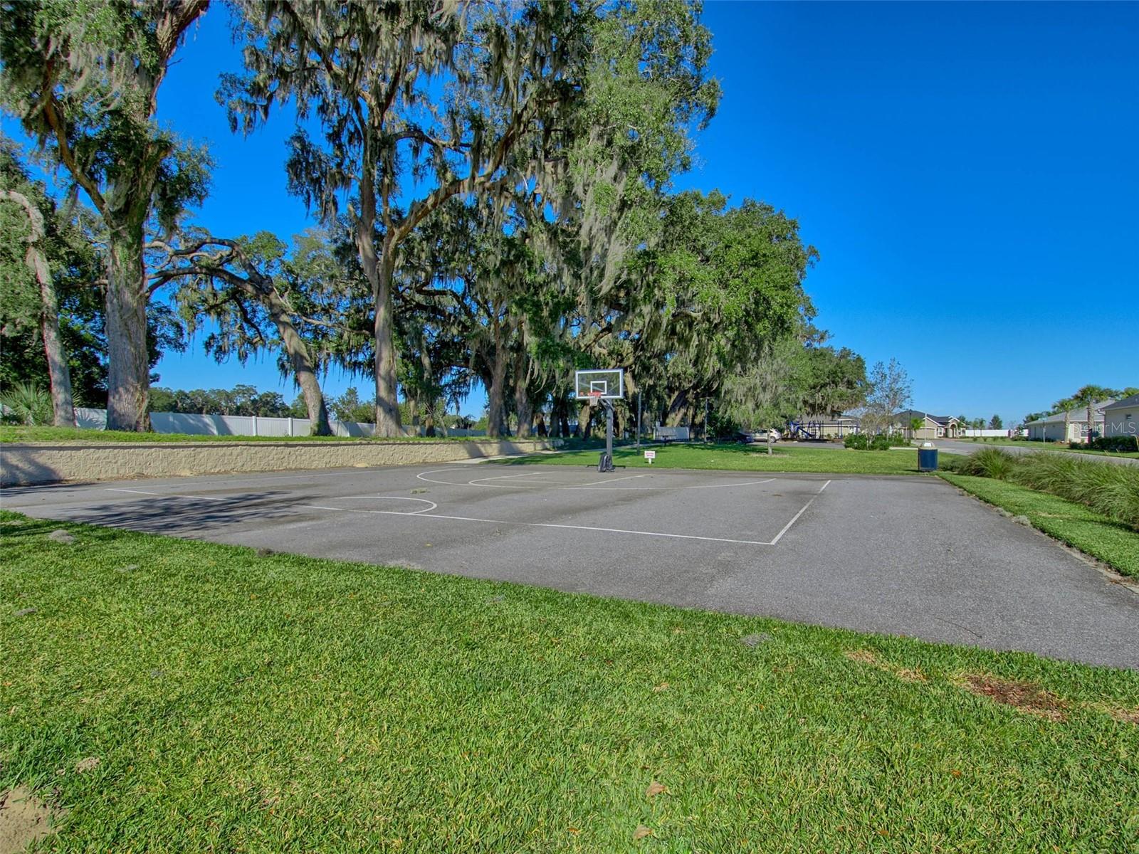 5068 NEPTUNE CIR, OXFORD, FL, 34484