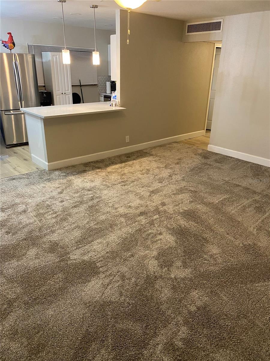 202 BEDFORD ST #57, SUN CITY CENTER, FL, 33573