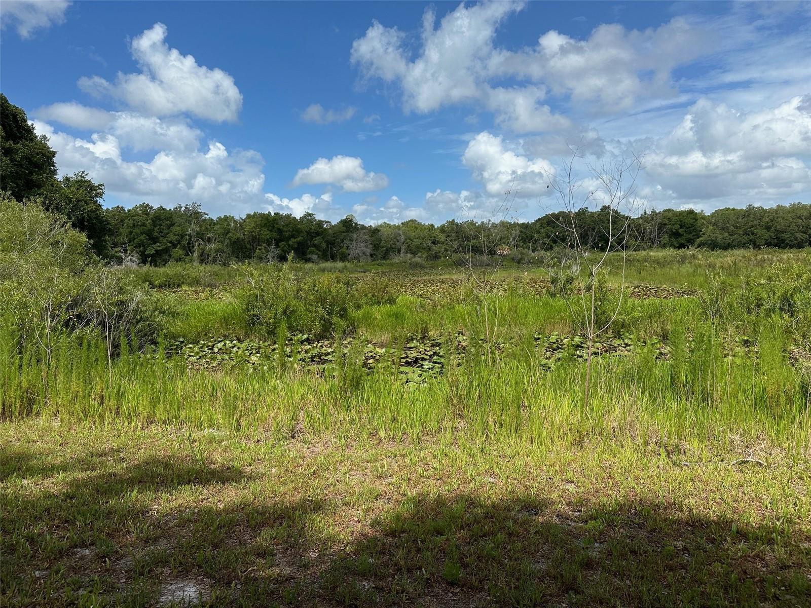 INVERNESS, FL, 34453