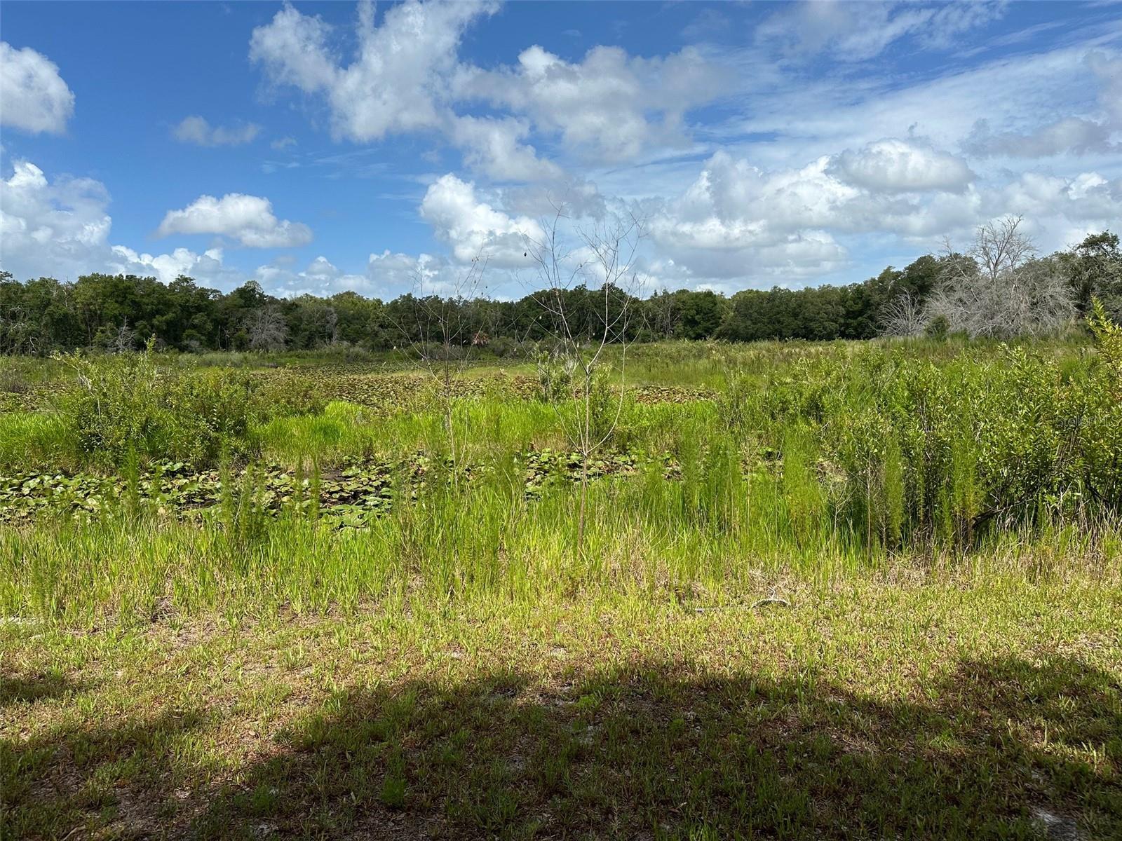 INVERNESS, FL, 34453