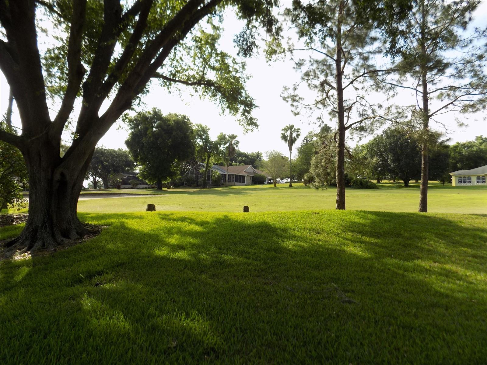 14720 GREEN VALLEY BLVD, CLERMONT, FL, 34711