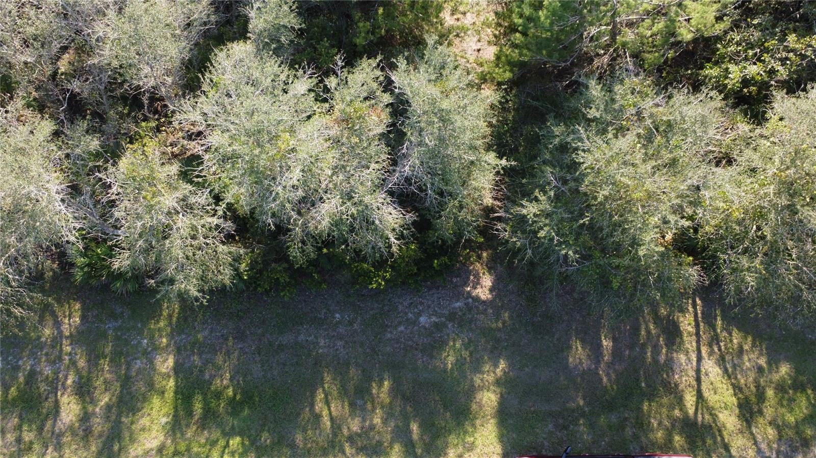 4107 OLD KINGS RD N, PALM COAST, FL, 32137