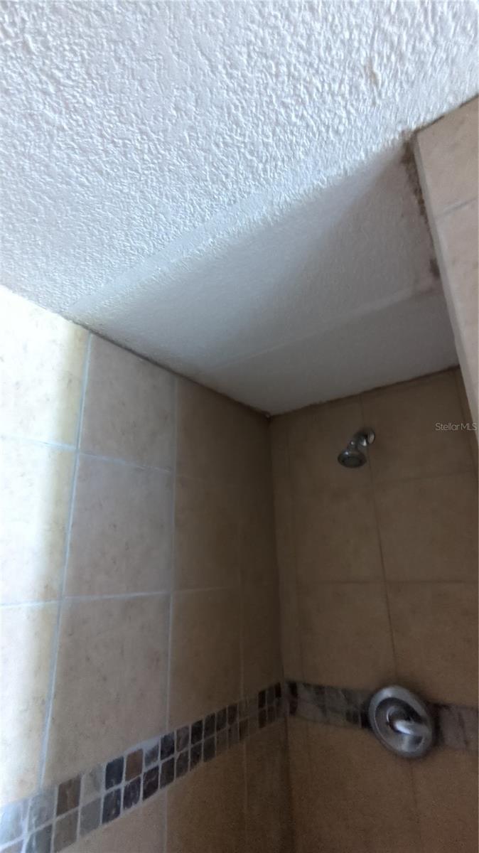 OM681371 Property Photo