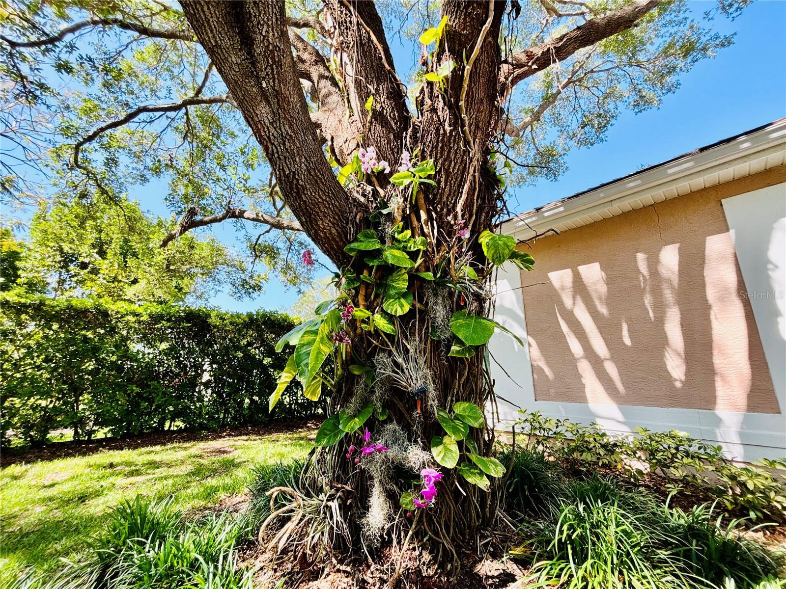 1108 BAYHEAD LN, OSPREY, FL, 34229