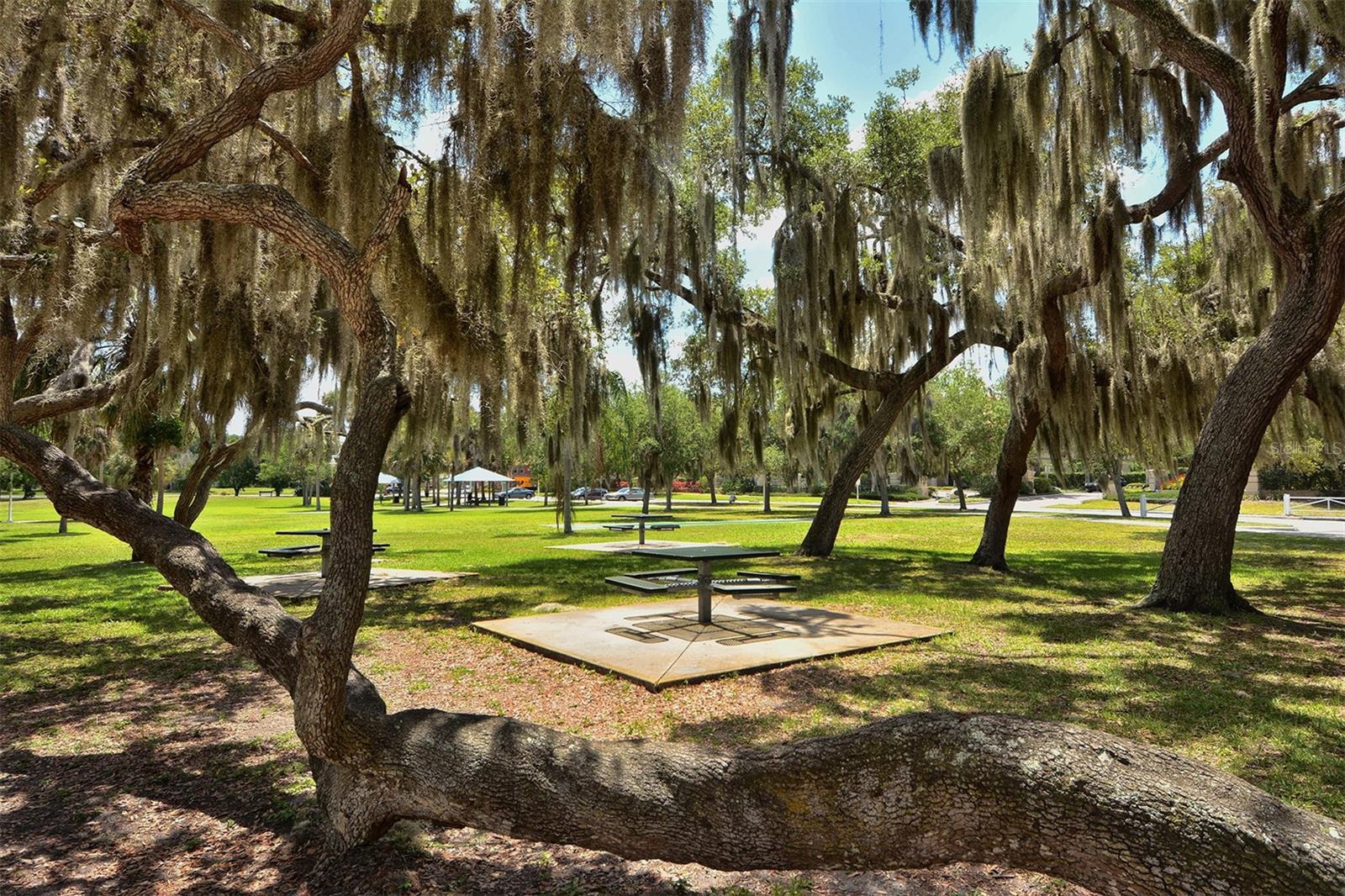 1709 N TAMIAMI TRL #310, SARASOTA, FL, 34234